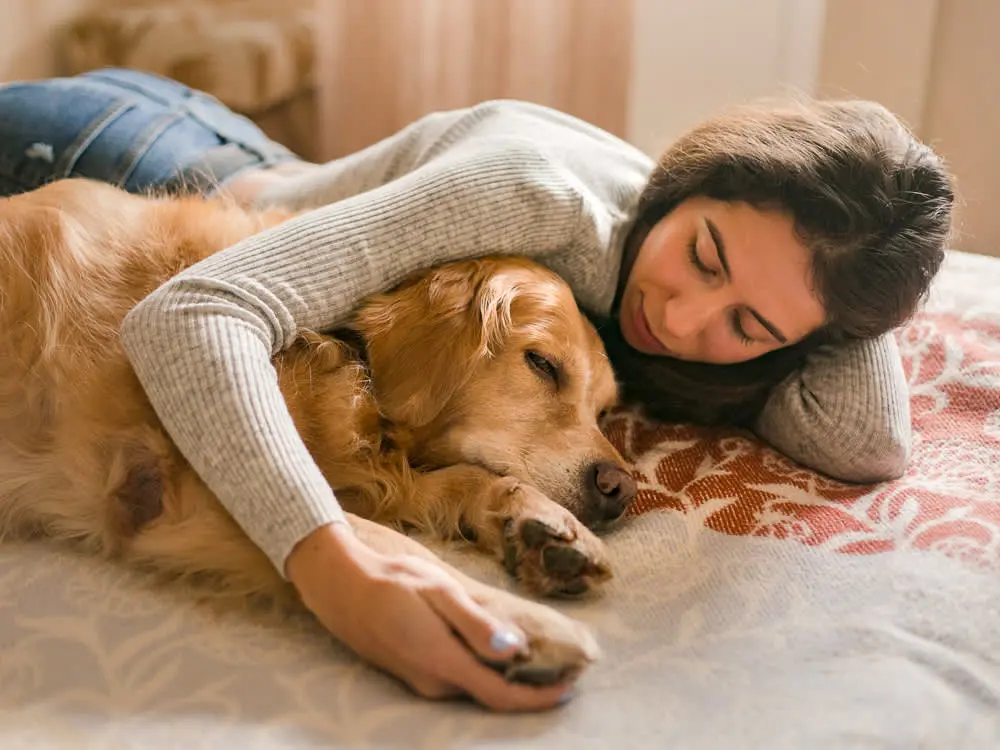 SEO Optimization Help Reach Pet Farewell Seekers