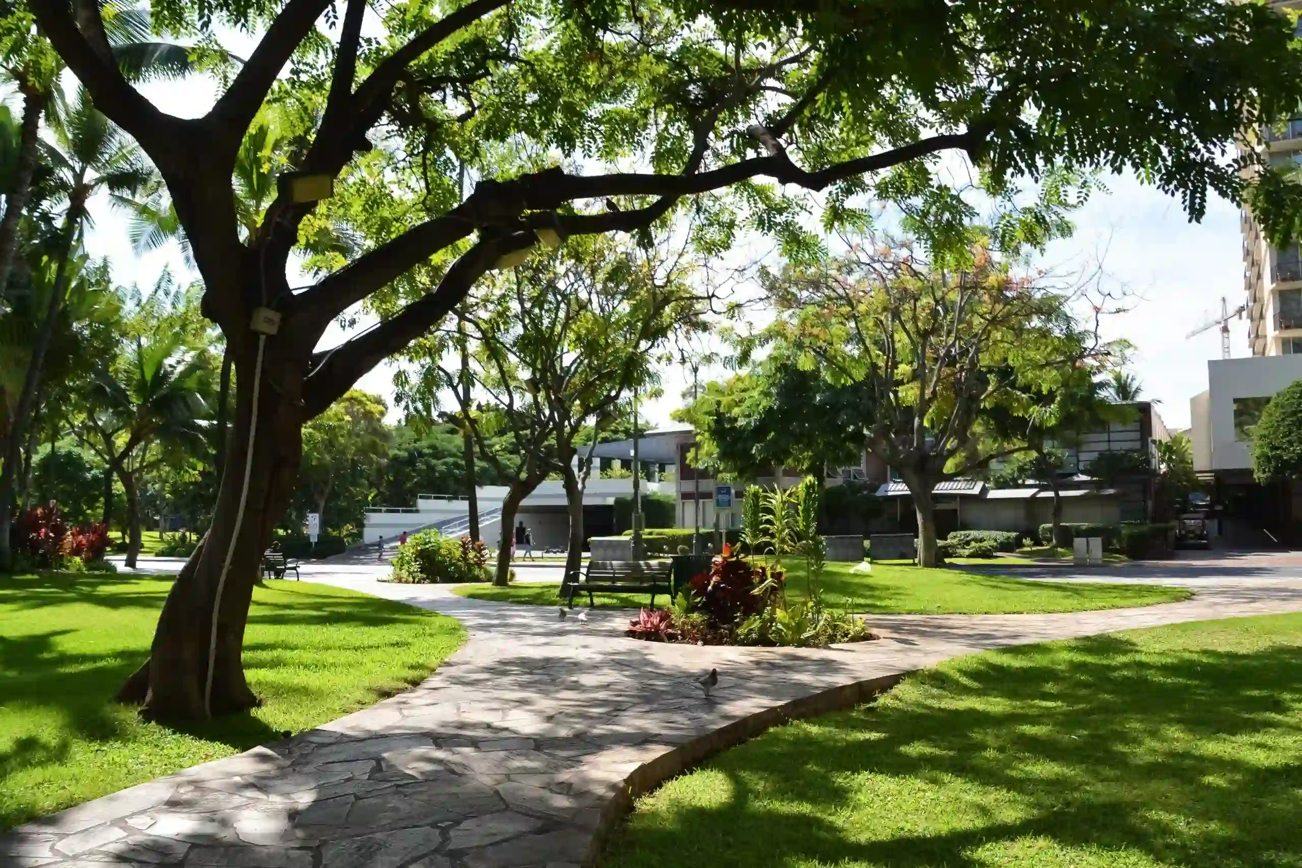 benefits of sustainable landscaping