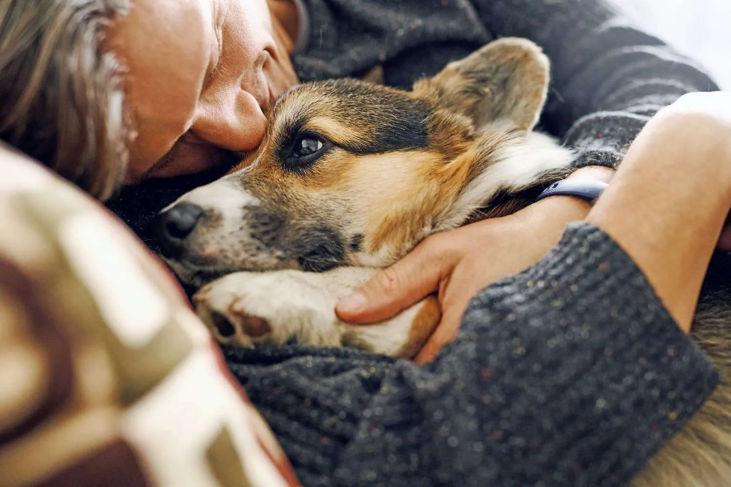Improving Pet End-Of-Life Care Business Through Digital Marketing