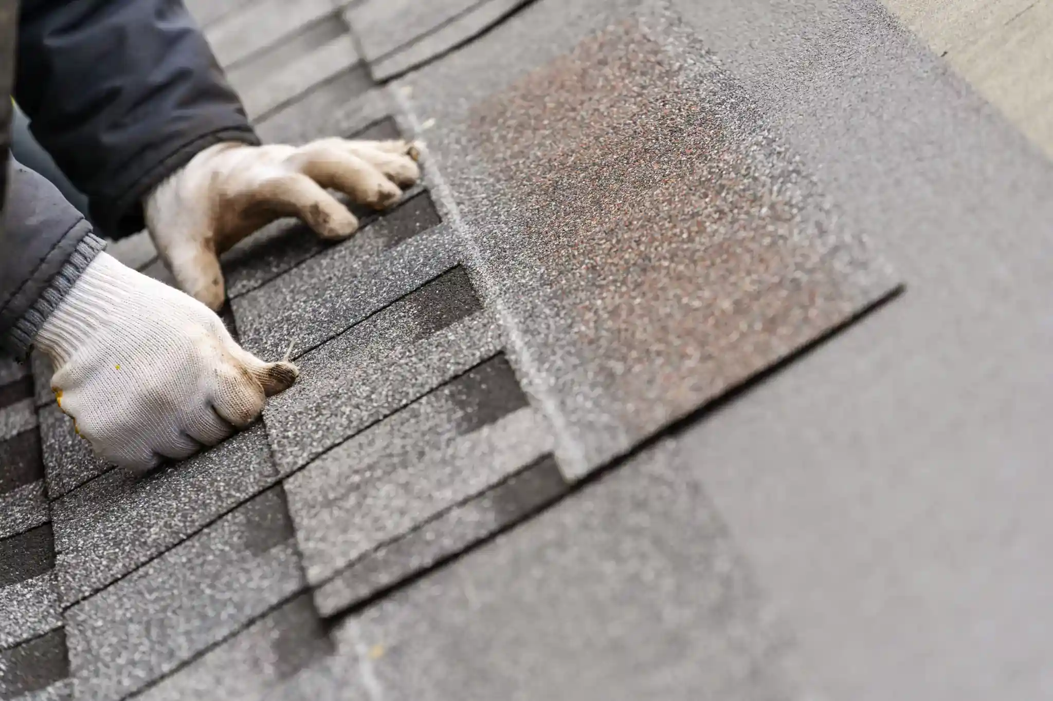 What Every Homeowner Should Know Before It’s Too Late