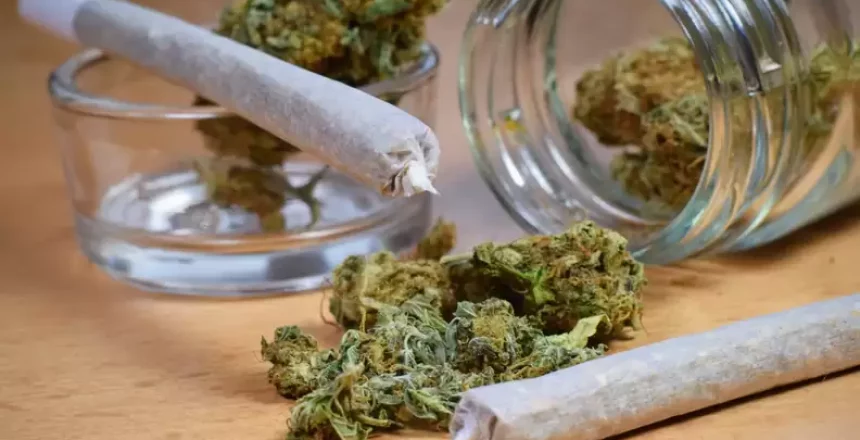 Digital Marketing Privacy Policy for Cannabis Delivery Online Business