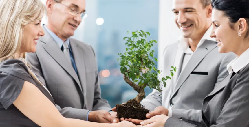 How Can SEO Efforts Amplify Carbon-Neutral Business Models