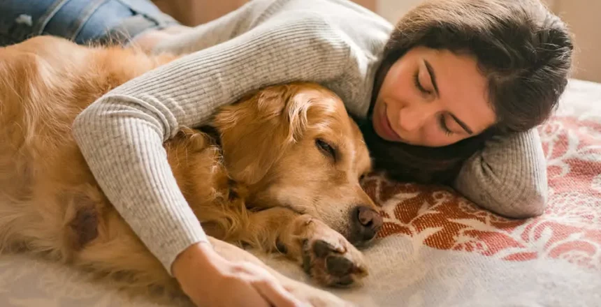 SEO Optimization Help Reach Pet Farewell Seekers